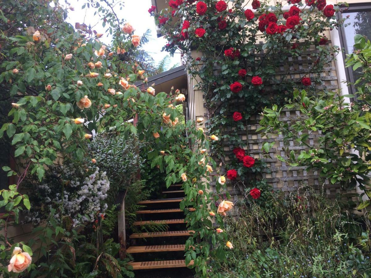 Waitomo Caves Guest Lodge Exterior photo