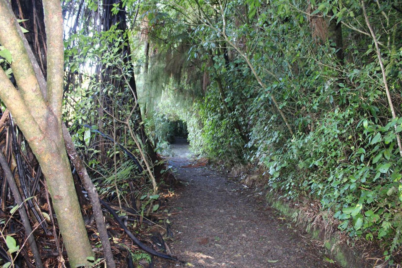 Waitomo Caves Guest Lodge Exterior photo